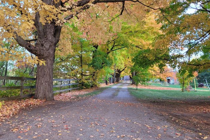 Present day view of the Kilbride road from the Windows XP Autumn wallpaper