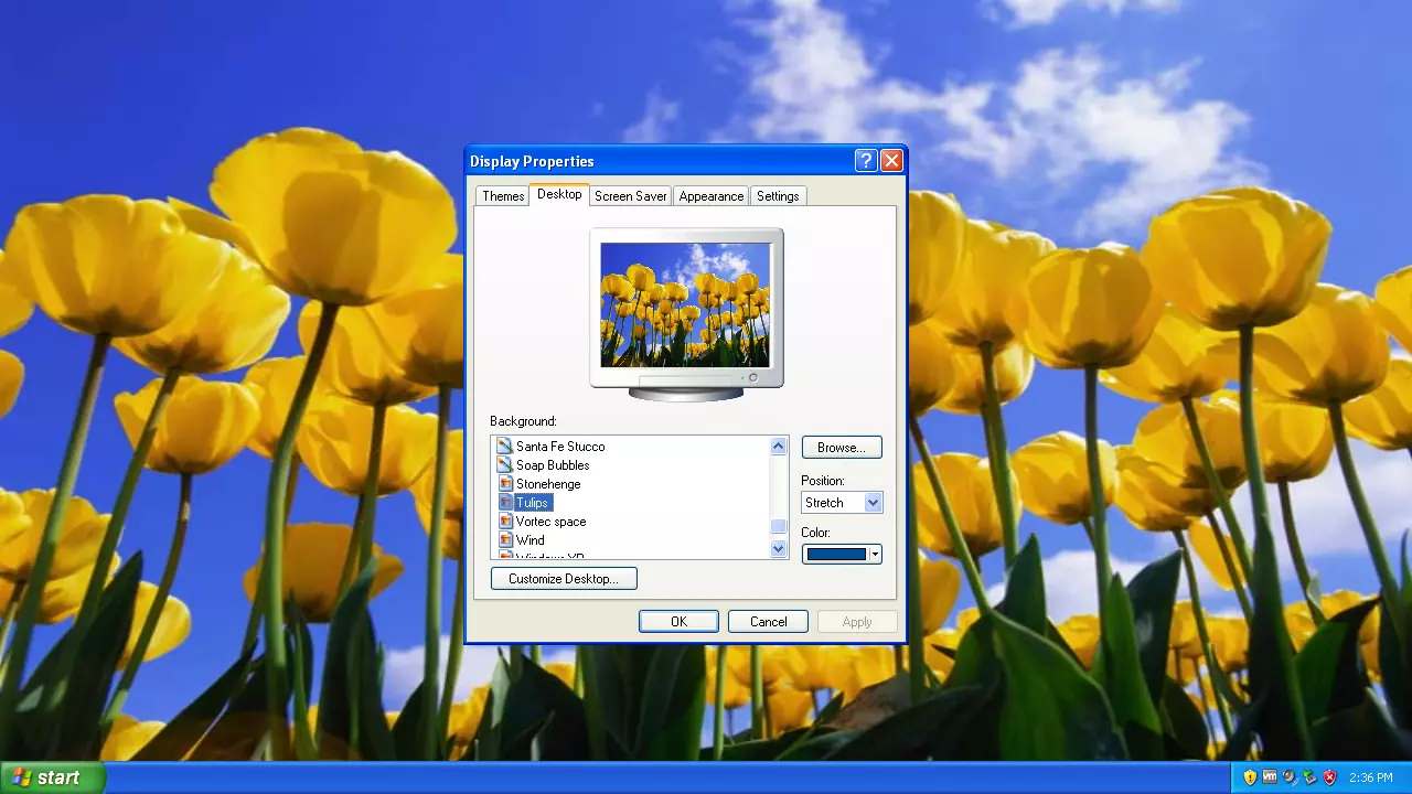 Beyond Bliss - The Stories Behind Windows XP's Other Iconic Wallpapers